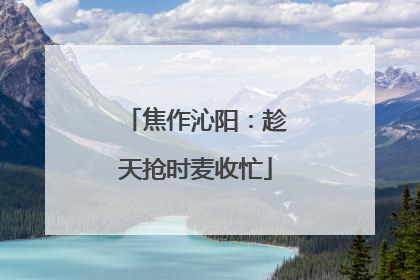 焦作沁阳：趁天抢时麦收忙