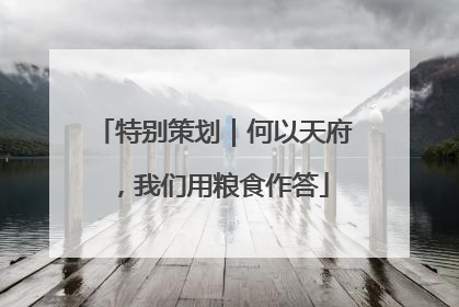 特别策划｜何以天府，我们用粮食作答