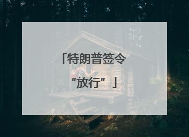 特朗普签令“放行”