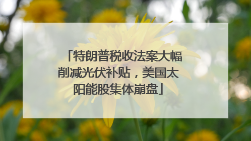 特朗普税收法案大幅削减光伏补贴，美国太阳能股集体崩盘