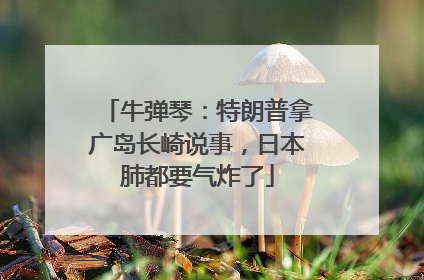 牛弹琴：特朗普拿广岛长崎说事，日本肺都要气炸了