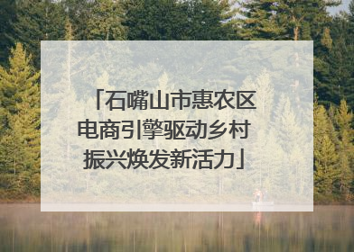 石嘴山市惠农区电商引擎驱动乡村振兴焕发新活力