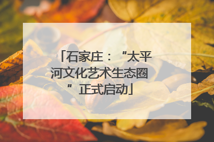 石家庄：“太平河文化艺术生态圈”正式启动