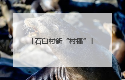 石臼村新“村播”