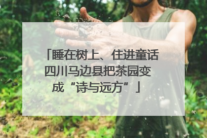 睡在树上、住进童话 四川马边县把茶园变成“诗与远方”