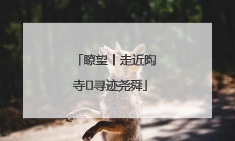 瞭望丨走近陶寺 寻迹尧舜
