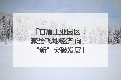 甘眉工业园区：聚势飞地经济 向“新”突破发展