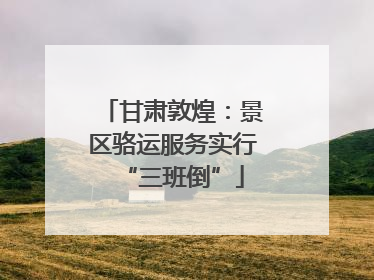 甘肃敦煌：景区骆运服务实行“三班倒”