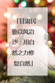 甘肃民勤以风治沙：用自然之力修复自然