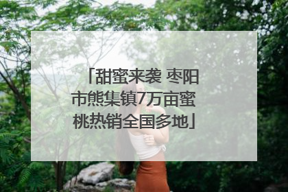 甜蜜来袭 枣阳市熊集镇7万亩蜜桃热销全国多地