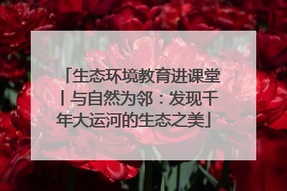 生态环境教育进课堂丨与自然为邻：发现千年大运河的生态之美