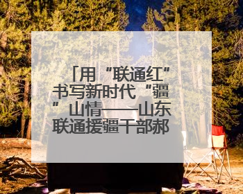 用“联通红”书写新时代“疆”山情——山东联通援疆干部郝兆武的乡村振兴答卷