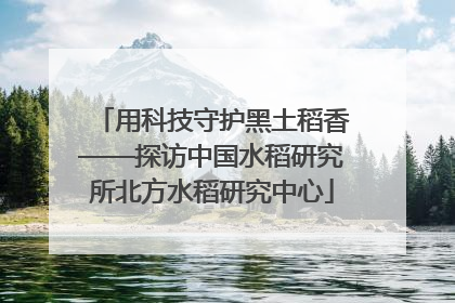 用科技守护黑土稻香——探访中国水稻研究所北方水稻研究中心