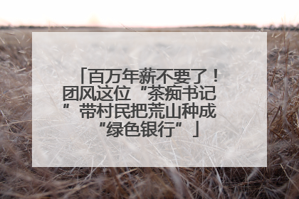 百万年薪不要了！团风这位“茶痴书记”带村民把荒山种成“绿色银行”