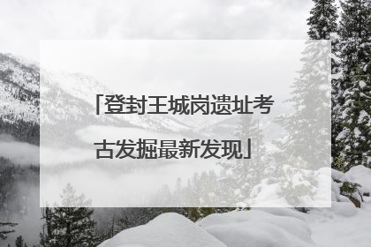 登封王城岗遗址考古发掘最新发现