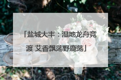 盐城大丰：湿地龙舟竞渡 艾香飘荡野鹿荡