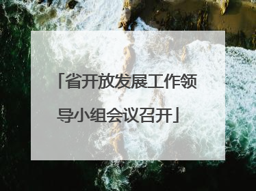 省开放发展工作领导小组会议召开