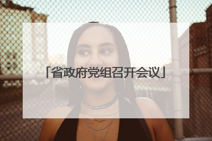 省政府党组召开会议