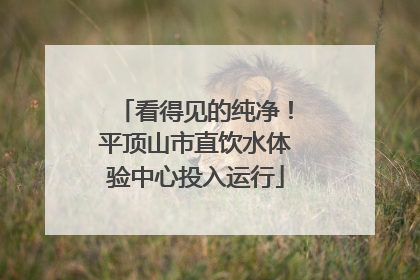 看得见的纯净！平顶山市直饮水体验中心投入运行