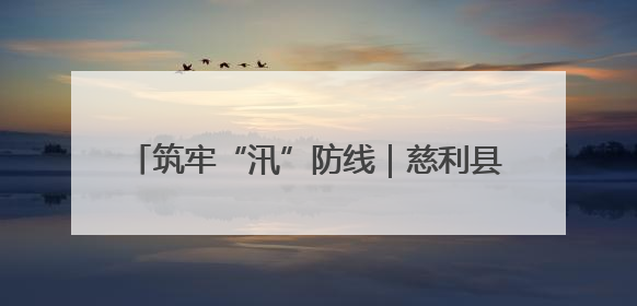 筑牢“汛”防线｜慈利县罗塔坪乡：以“迅”应“汛” 打赢暴雨防御战