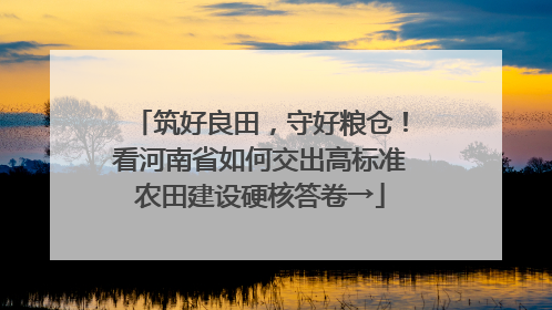 筑好良田，守好粮仓！看河南省如何交出高标准农田建设硬核答卷→