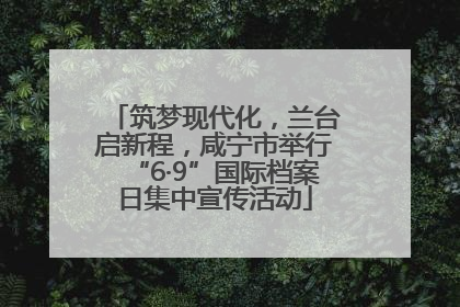 筑梦现代化，兰台启新程，咸宁市举行“6·9”国际档案日集中宣传活动