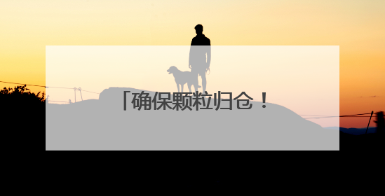 确保颗粒归仓！夏津县全域开放公共区域晒粮