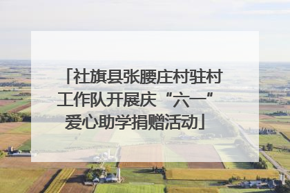 社旗县张腰庄村驻村工作队开展庆“六一”爱心助学捐赠活动