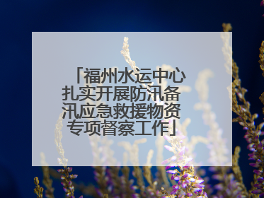 福州水运中心扎实开展防汛备汛应急救援物资专项督察工作