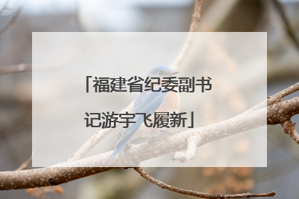 福建省纪委副书记游宇飞履新