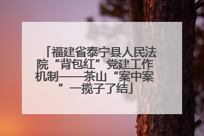 福建省泰宁县人民法院“背包红”党建工作机制——茶山“案中案”一揽子了结