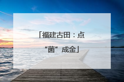 福建古田：点“菌”成金