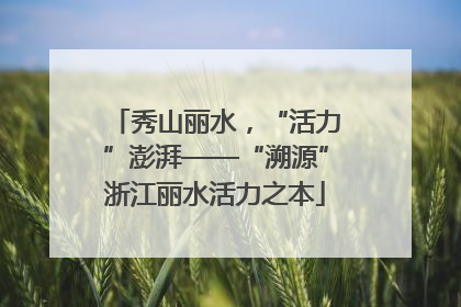 秀山丽水，“活力”澎湃——“溯源”浙江丽水活力之本