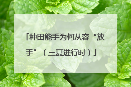 种田能手为何从容“放手”（三夏进行时）
