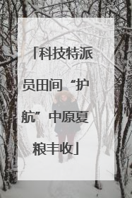 科技特派员田间“护航”中原夏粮丰收