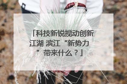 科技新锐搅动创新江湖 滨江“新势力”带来什么？