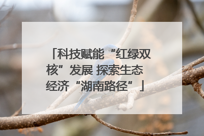 科技赋能“红绿双核”发展 探索生态经济“湖南路径”