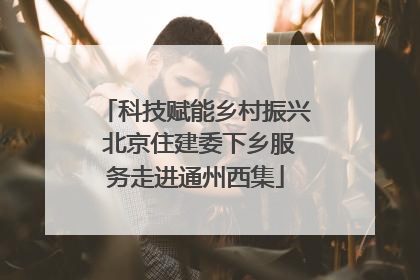 科技赋能乡村振兴 北京住建委下乡服务走进通州西集