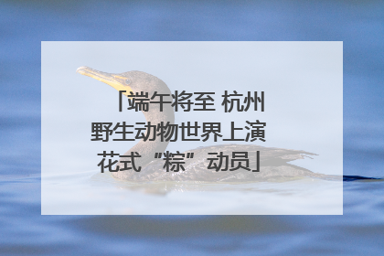 端午将至 杭州野生动物世界上演花式“粽”动员