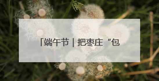 端午节｜把枣庄“包”进粽子里，“地标馅”的粽子诞生了！