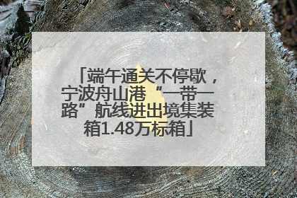 端午通关不停歇，宁波舟山港“一带一路”航线进出境集装箱1.48万标箱