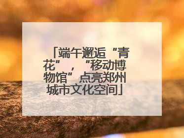 端午邂逅“青花”，“移动博物馆”点亮郑州城市文化空间