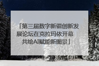 第三届数字新疆创新发展论坛在克拉玛依开幕 共绘AI赋能新图景