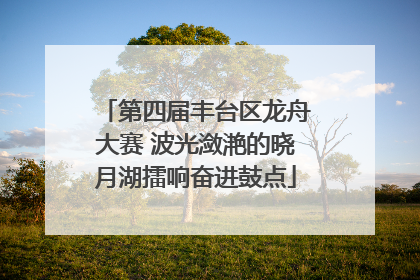 第四届丰台区龙舟大赛 波光潋滟的晓月湖擂响奋进鼓点