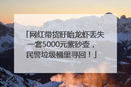 网红带货盱眙龙虾丢失一套5000元紫砂壶，民警垃圾桶里寻回！