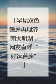 罕见双色睡莲再现济南大明湖，网友直呼“好运莲莲”