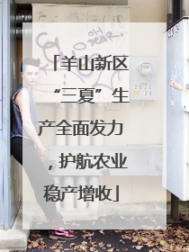 羊山新区“三夏”生产全面发力，护航农业稳产增收