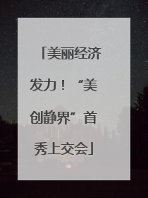 美丽经济发力！“美创静界”首秀上交会