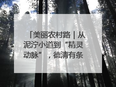 美丽农村路｜从泥泞小道到“精灵动脉”，德清有条“虾路”火了