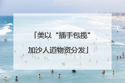 美以“插手包揽”加沙人道物资分发